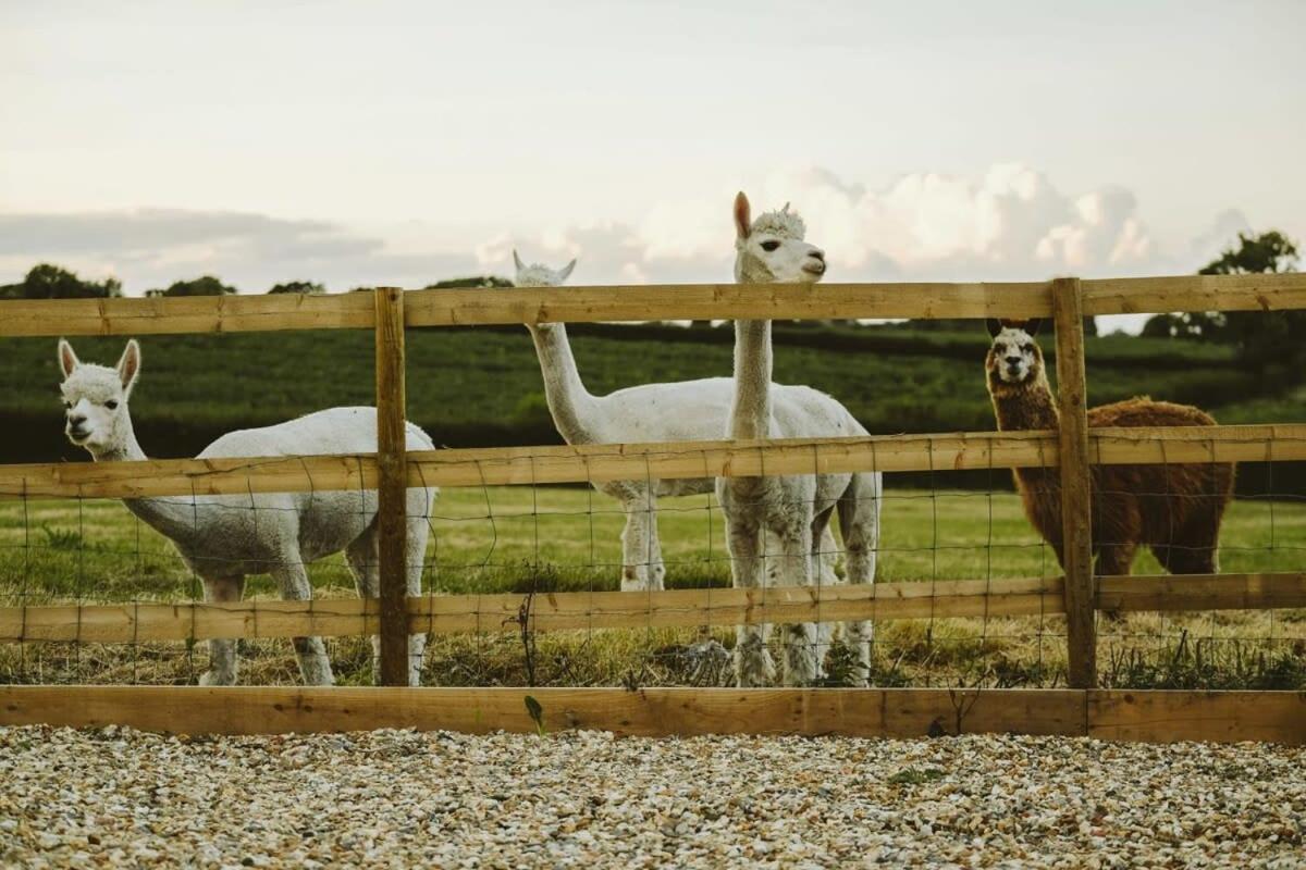 فيلا The Hay Barn - Hopewell بريستول المظهر الخارجي الصورة